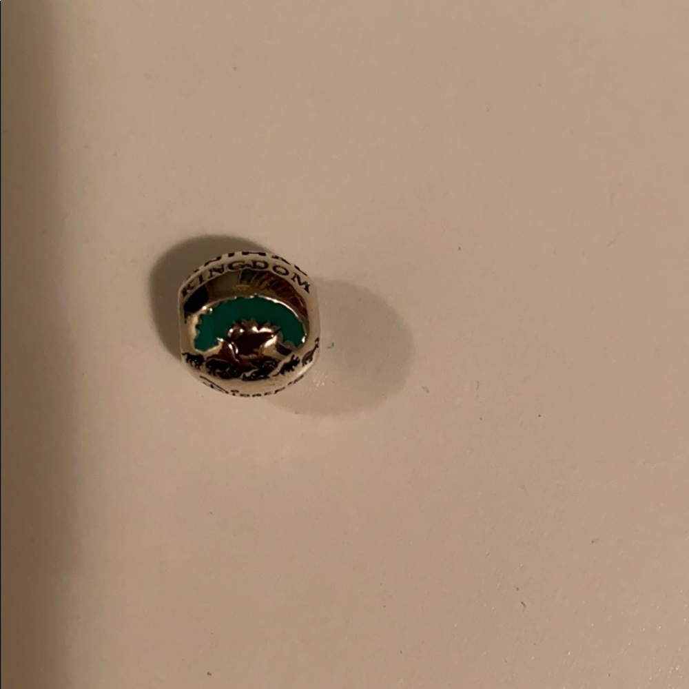 Disney Animal kingdom pandora charm